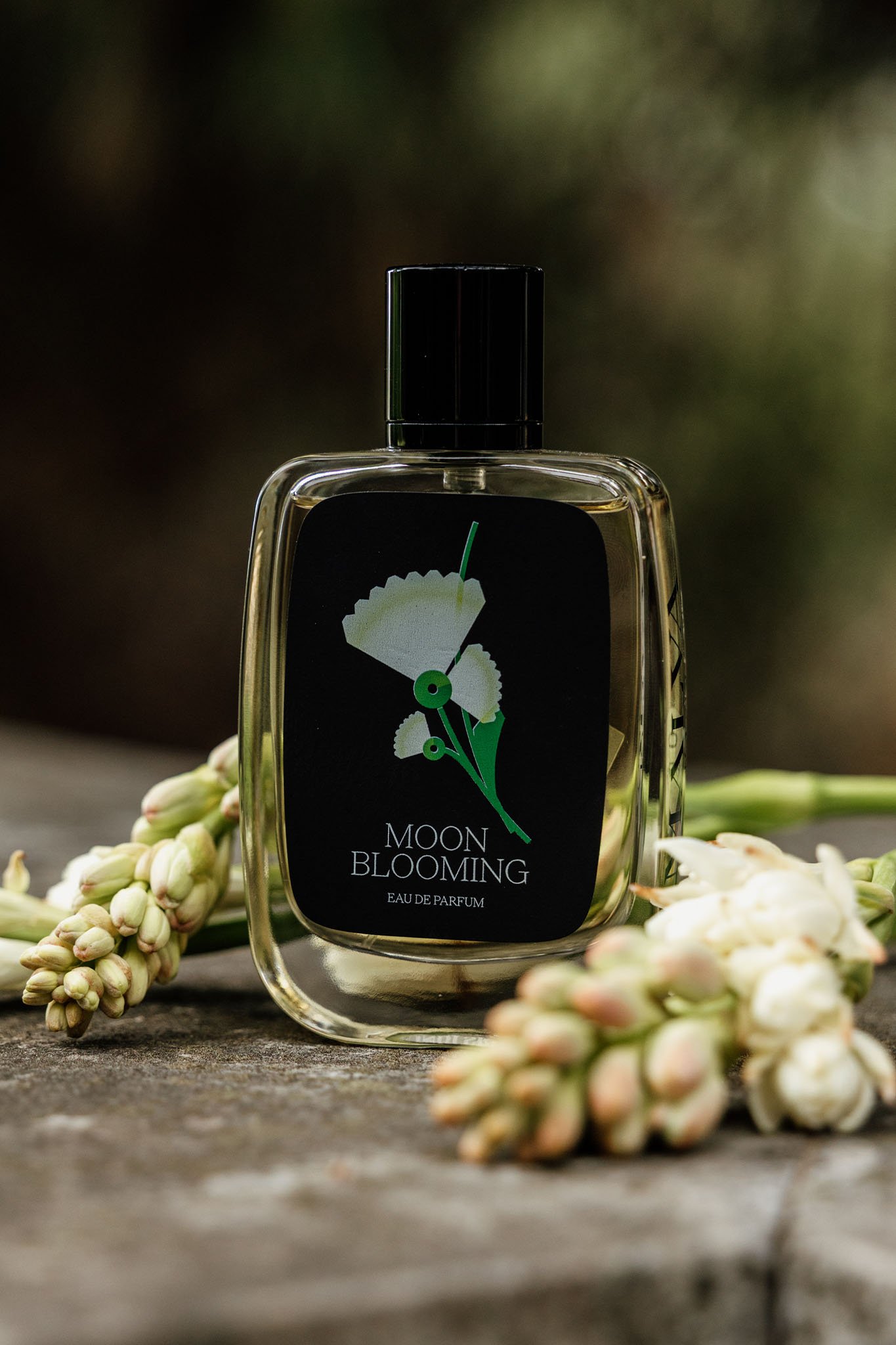 moon blooming malva1979